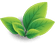tea leaves