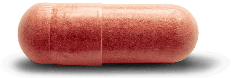 Close up of You Beauty capsule with astaxanthin